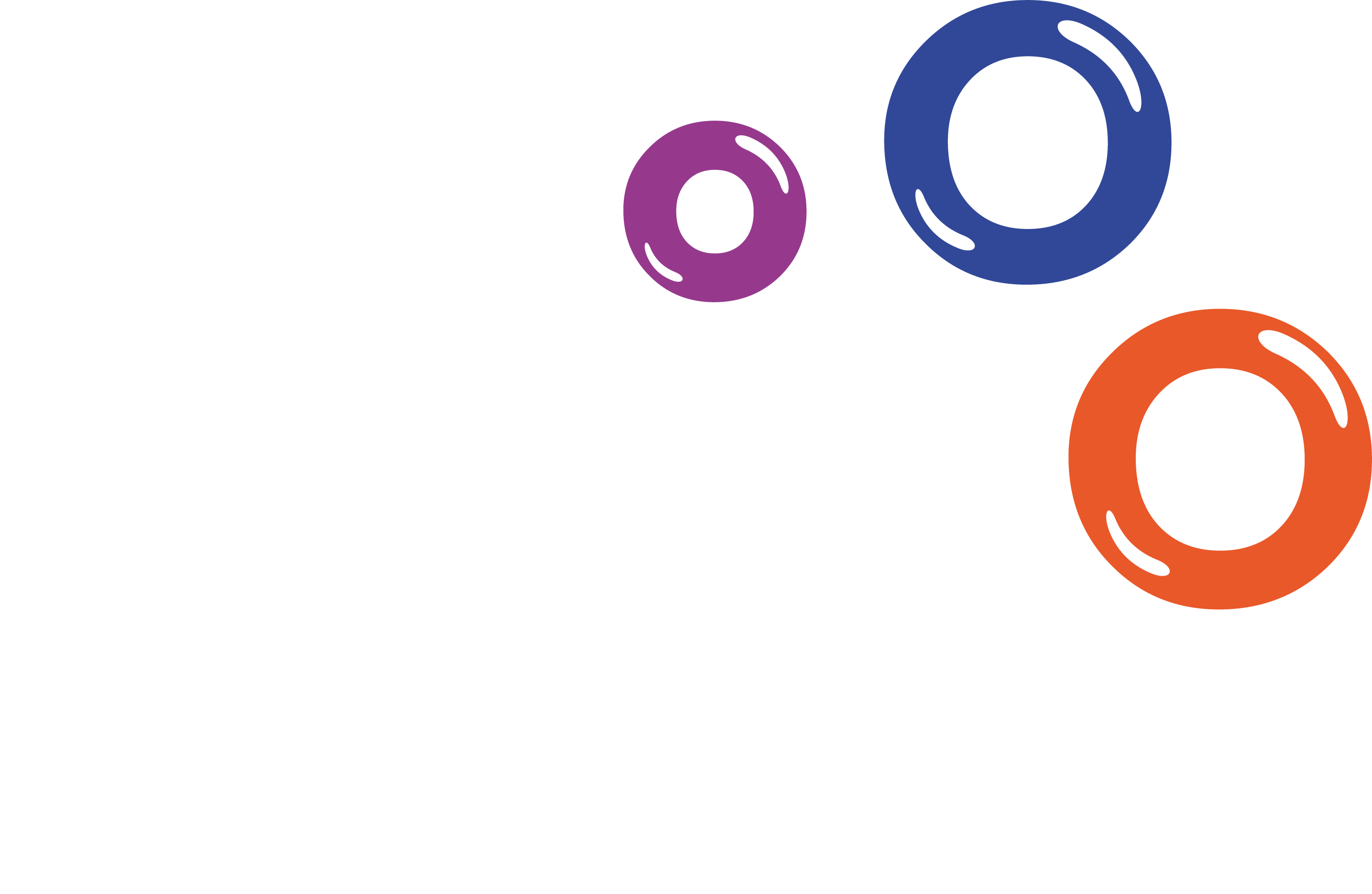 Bingo Fiesta